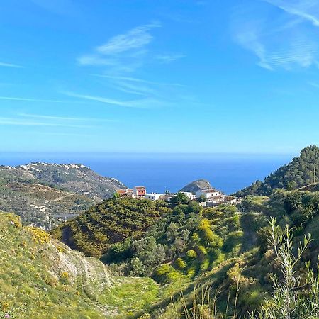 Villa Francisca マラガ エクステリア 写真