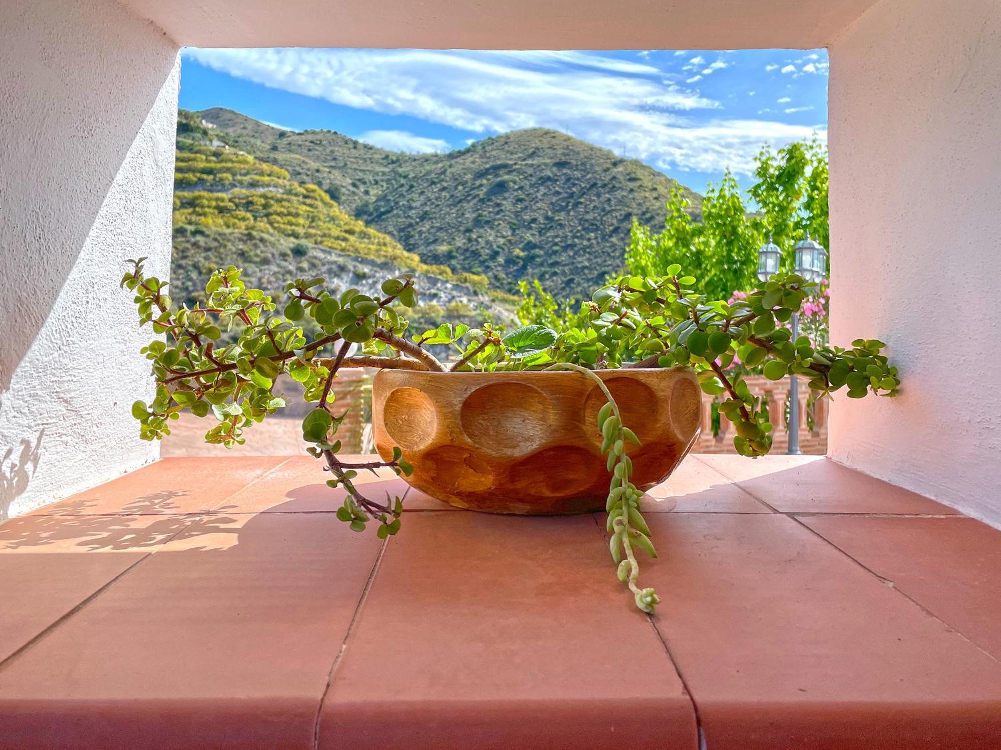 Villa Francisca マラガ エクステリア 写真