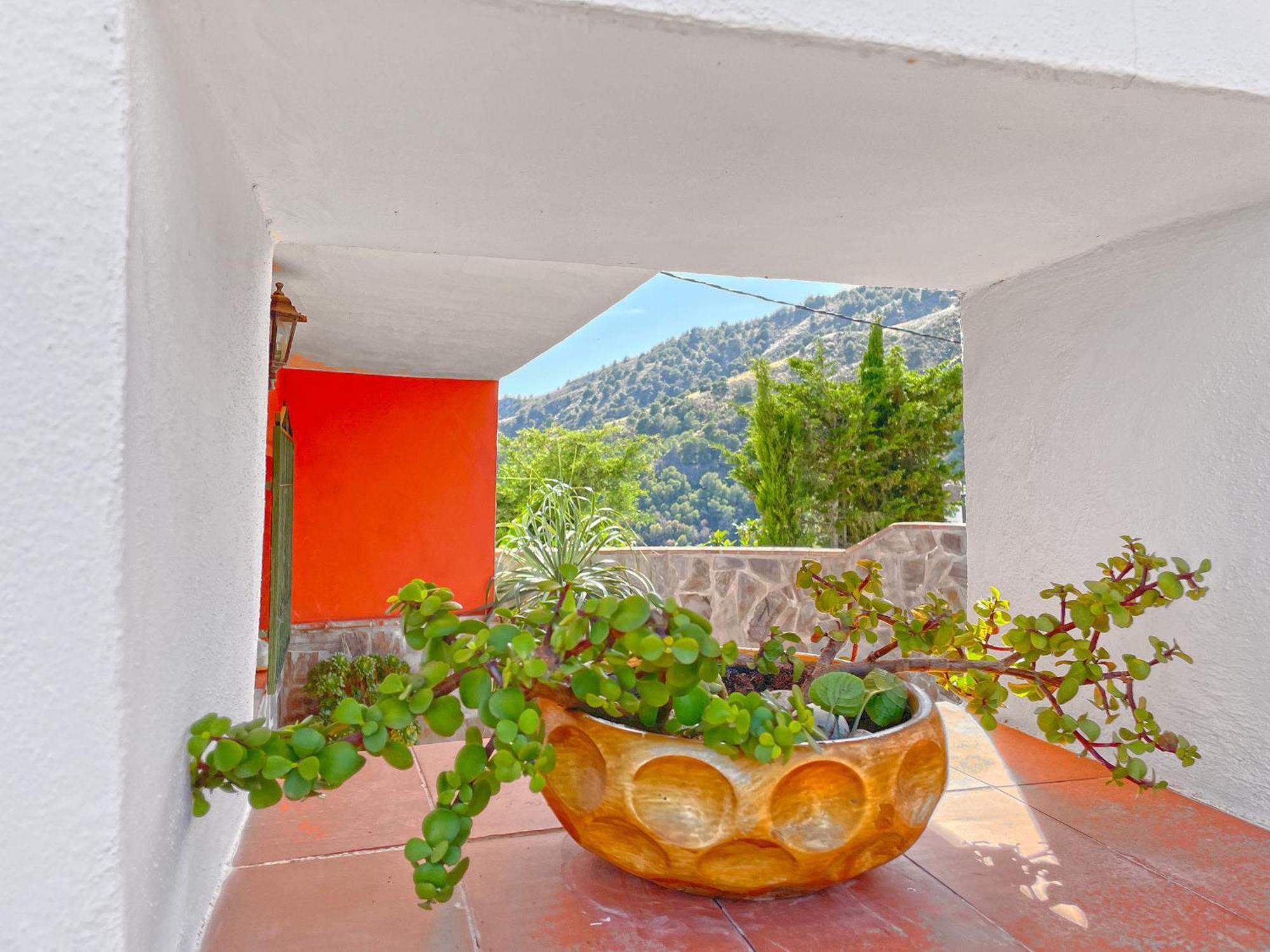 Villa Francisca マラガ エクステリア 写真